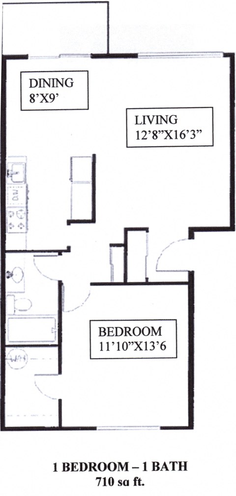 1 Bedroom 1 Bathroom Floor Plan